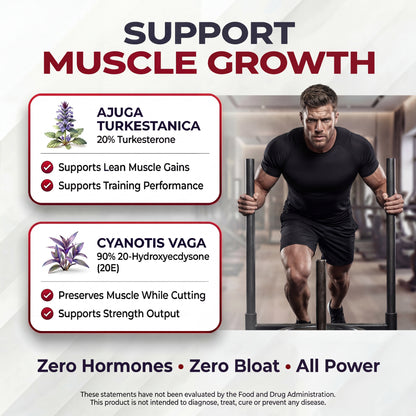 Alpha Male Complex – Gummies/Capsules | Clinically Dosed Testosterone & Lean Mass Stack | Tongkat Ali, Shilajit, Turkesterone & More