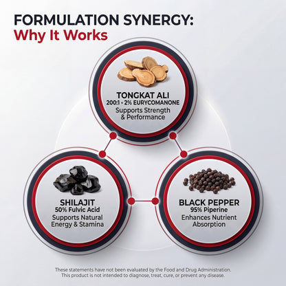 Alpha Male Complex – Gummies/Capsules | Clinically Dosed Testosterone & Lean Mass Stack | Tongkat Ali, Shilajit, Turkesterone & More