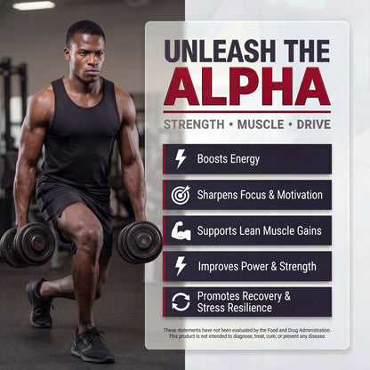 Alpha Male Complex 4-Stack Ultimate Bundle | Testosterone & Lean Mass + Strength & Performance + Mood, Drive & Clarity + Nitric Oxide & Circulation | Complete Daily Men’s Performance System